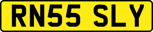 RN55SLY