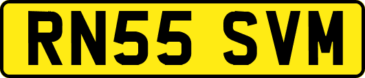 RN55SVM