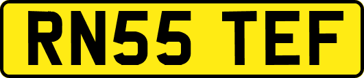 RN55TEF