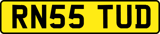 RN55TUD
