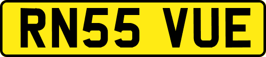 RN55VUE