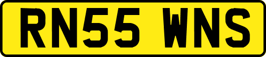 RN55WNS