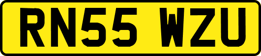 RN55WZU