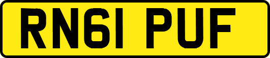 RN61PUF