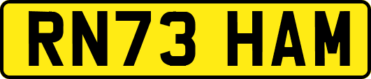 RN73HAM