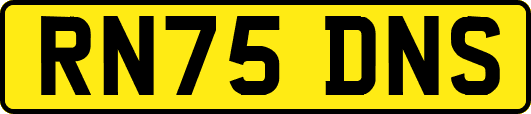 RN75DNS