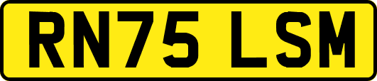 RN75LSM