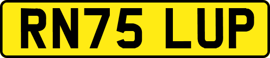 RN75LUP