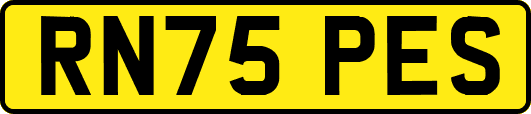 RN75PES