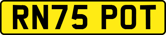 RN75POT