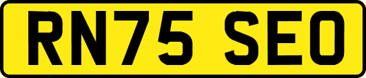 RN75SEO