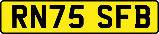 RN75SFB