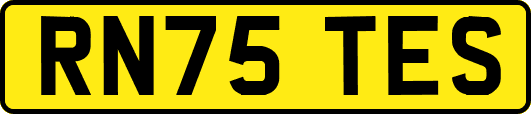 RN75TES