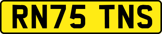 RN75TNS