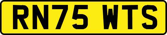 RN75WTS