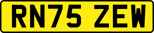RN75ZEW