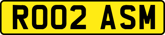 RO02ASM