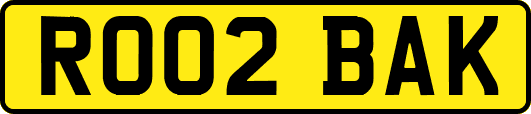 RO02BAK