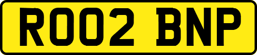 RO02BNP