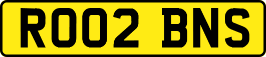 RO02BNS