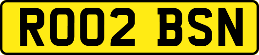 RO02BSN