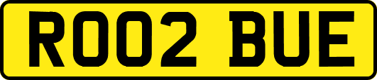 RO02BUE