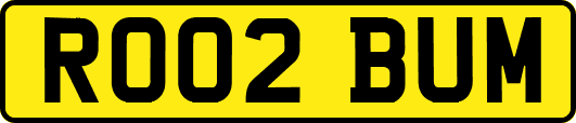 RO02BUM