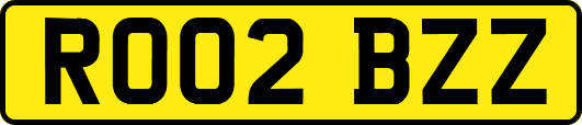 RO02BZZ