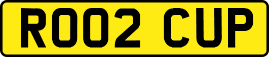 RO02CUP