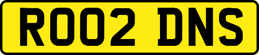 RO02DNS