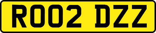 RO02DZZ