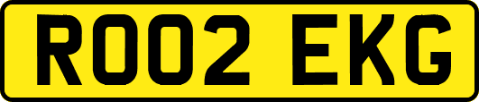 RO02EKG