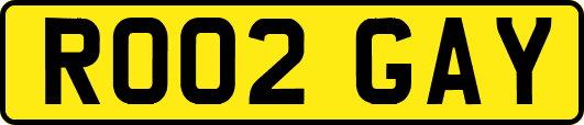 RO02GAY
