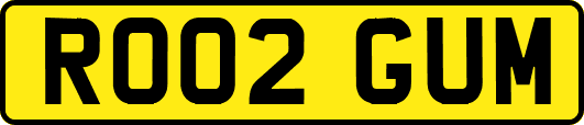 RO02GUM