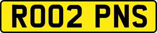 RO02PNS