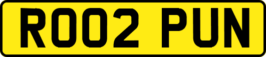 RO02PUN
