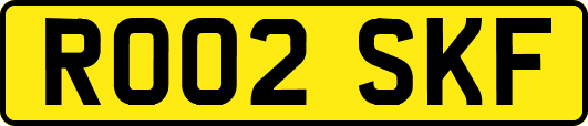 RO02SKF