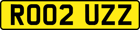 RO02UZZ