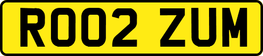 RO02ZUM
