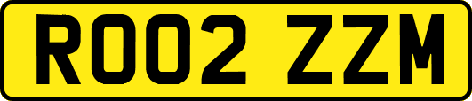 RO02ZZM