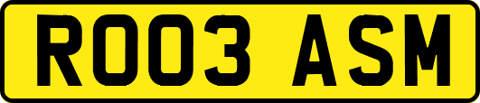 RO03ASM
