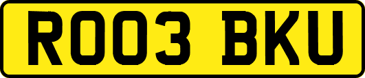 RO03BKU