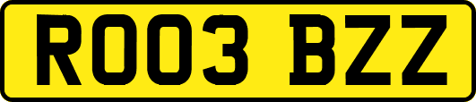 RO03BZZ