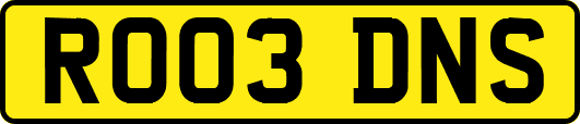 RO03DNS