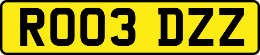 RO03DZZ