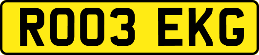 RO03EKG