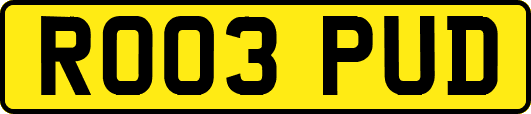 RO03PUD