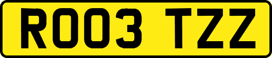 RO03TZZ