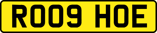 RO09HOE