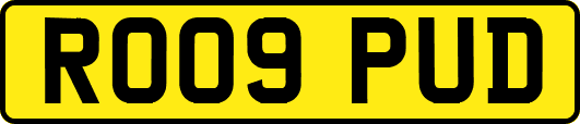 RO09PUD